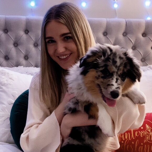 Meet your Posher, Bailey - Picture 1 of 1